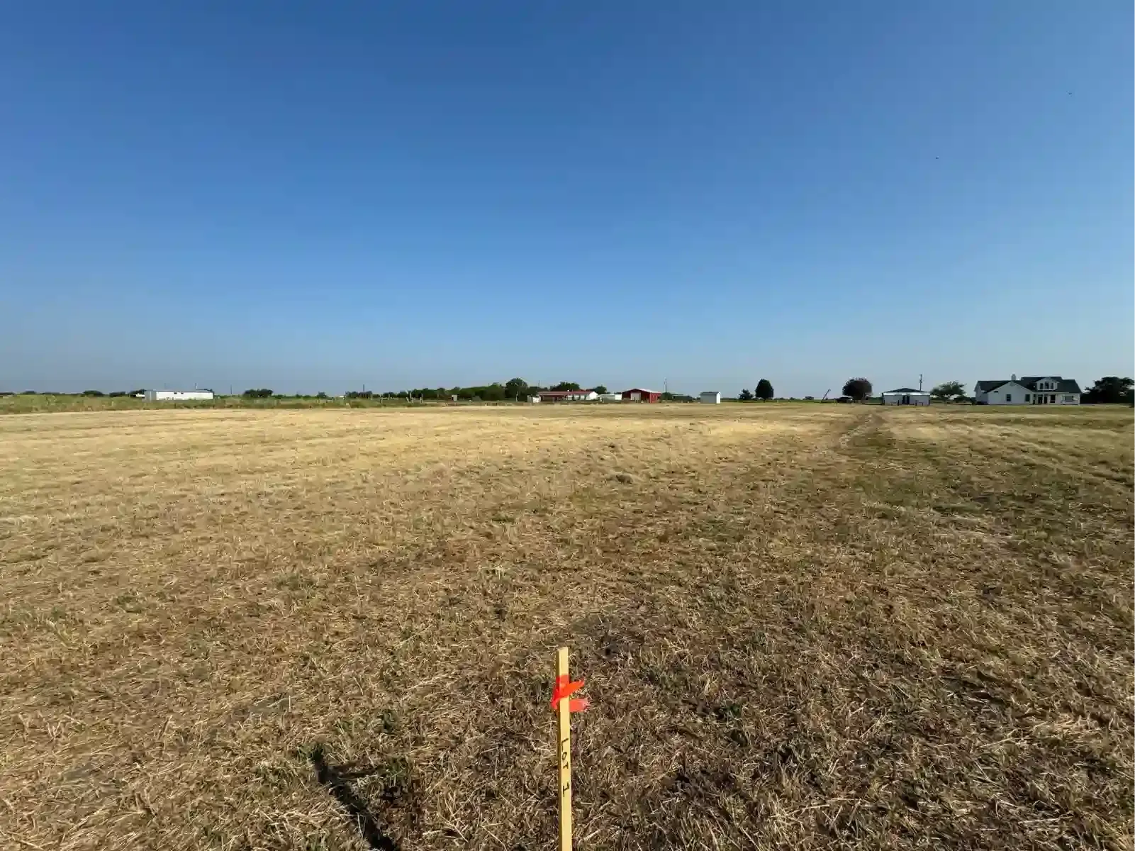 Open grassy field under a clear blue sky, with a small orange marker in the foreground.