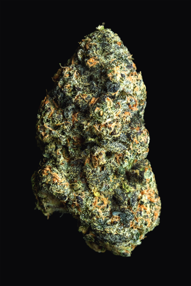 Single Strain