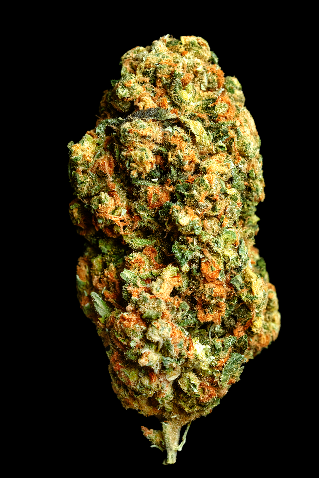 Single Strain