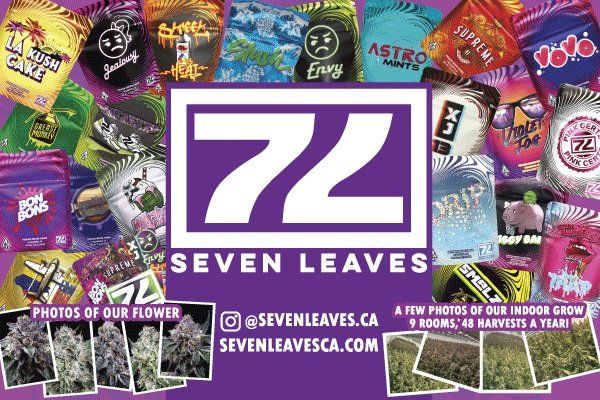 Best of L.A. cannabis 2022