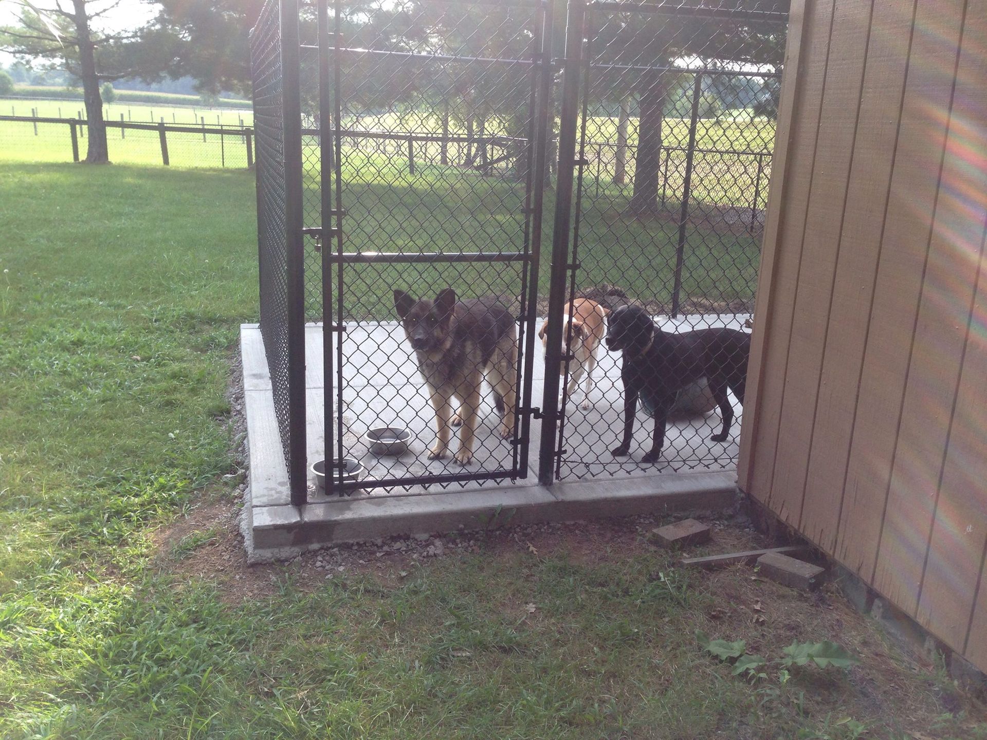 dog kennel fence illinois