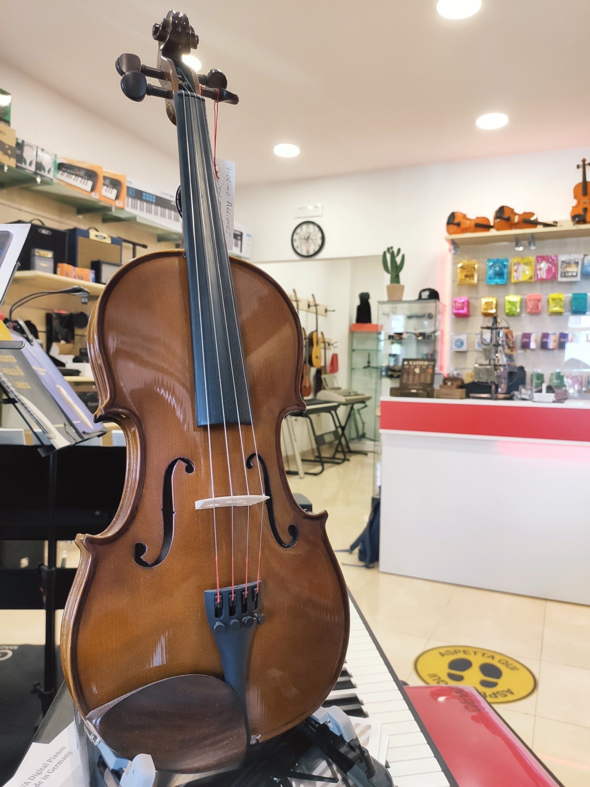 viola