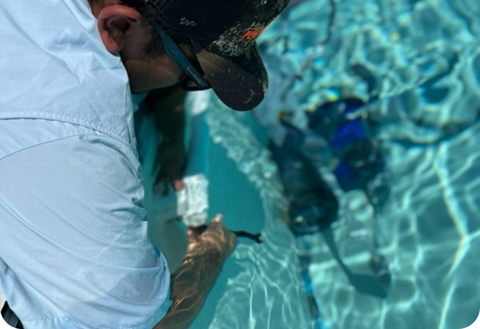 A person in a light shirt and hat leans over a pool edge, holding an object towards a diver submerged in blue water.