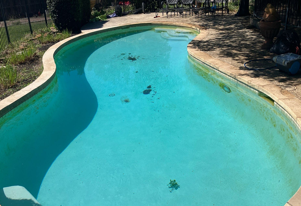 A free-form swimming pool with turquoise water, featuring scattered debris and algae buildup along the waterline.
