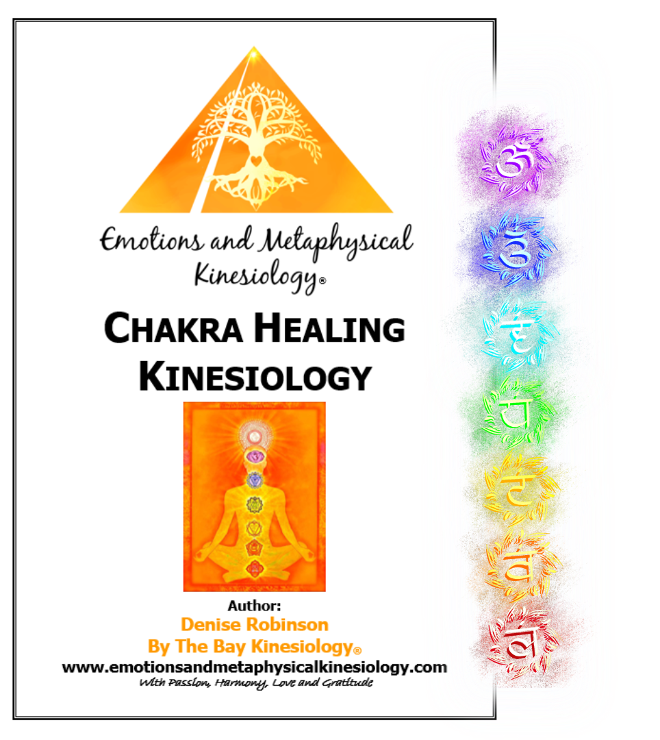 Kineasy Intro ourse manual