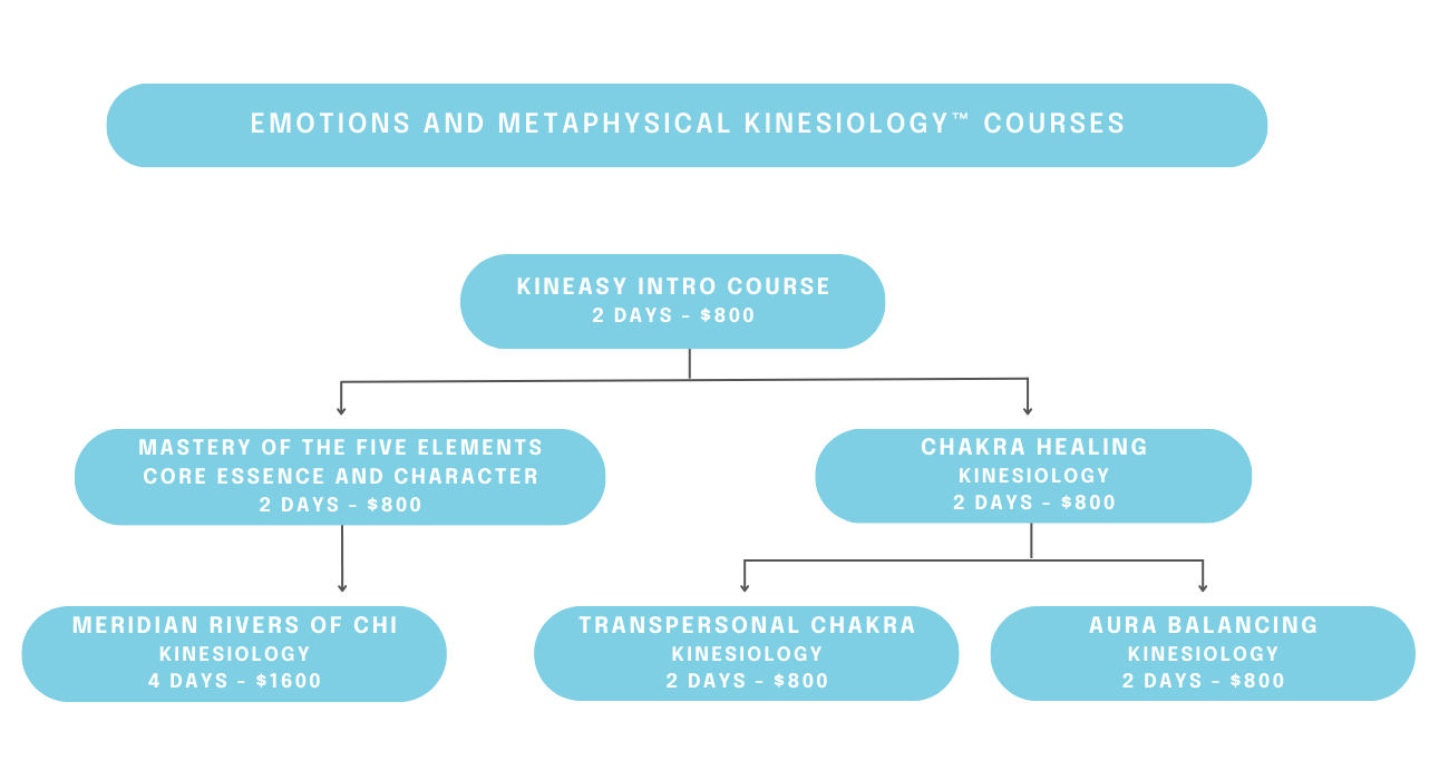 graphic flow chart for the six EMK courses you can learn with Mel Werner