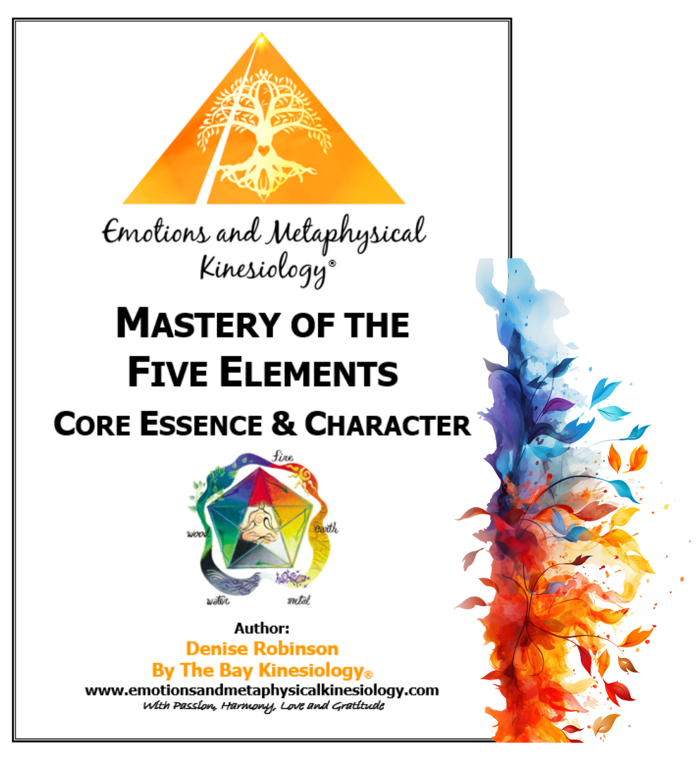 Kineasy Intro ourse manual