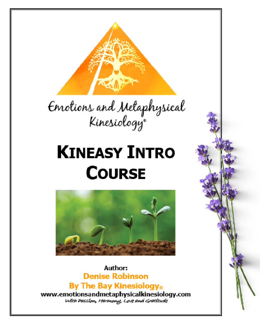 Kineasy Intro ourse manual