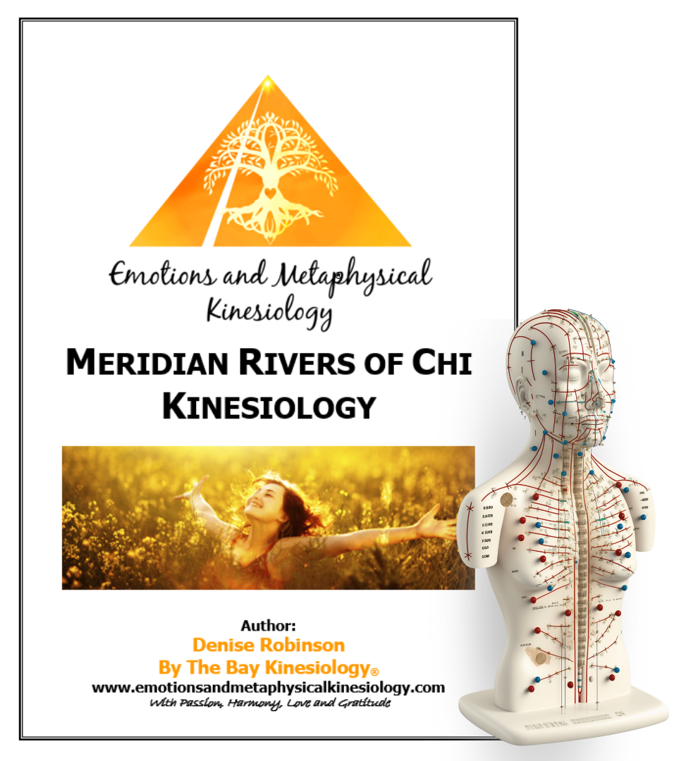Kineasy Intro ourse manual
