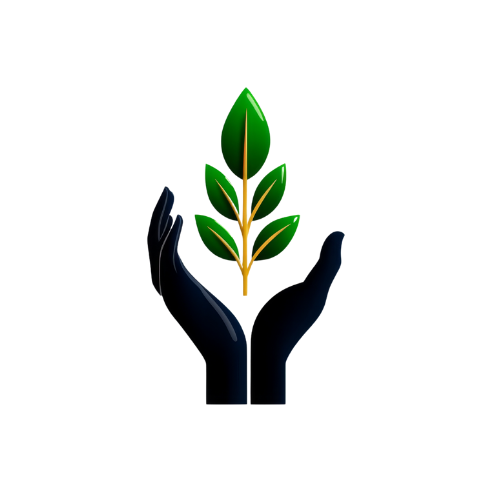 two hands holding a plant growing