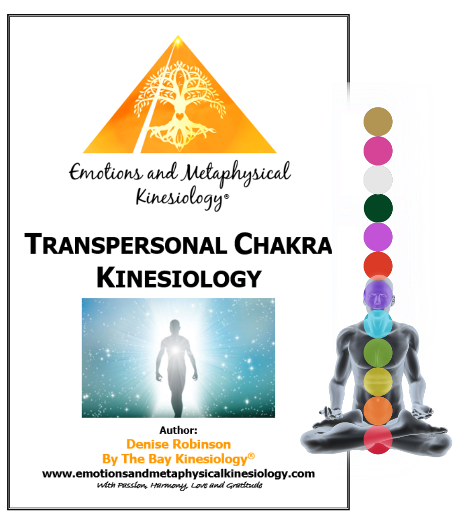 Kineasy Intro ourse manual