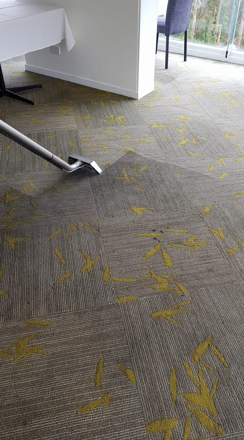 A vacuum cleaner is cleaning a carpet in a room. — Lake Macquarie Carpet Cleaning In Swansea, NSW