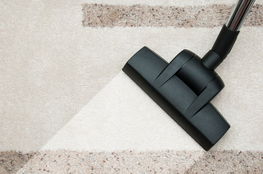 A Vacuum Cleaner Is Cleaning A Carpet With A Brush — Lake Macquarie Carpet Cleaning In Warners Bay, NSW