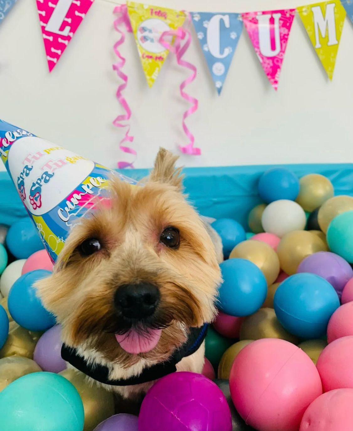 CUMPLEAÑOS