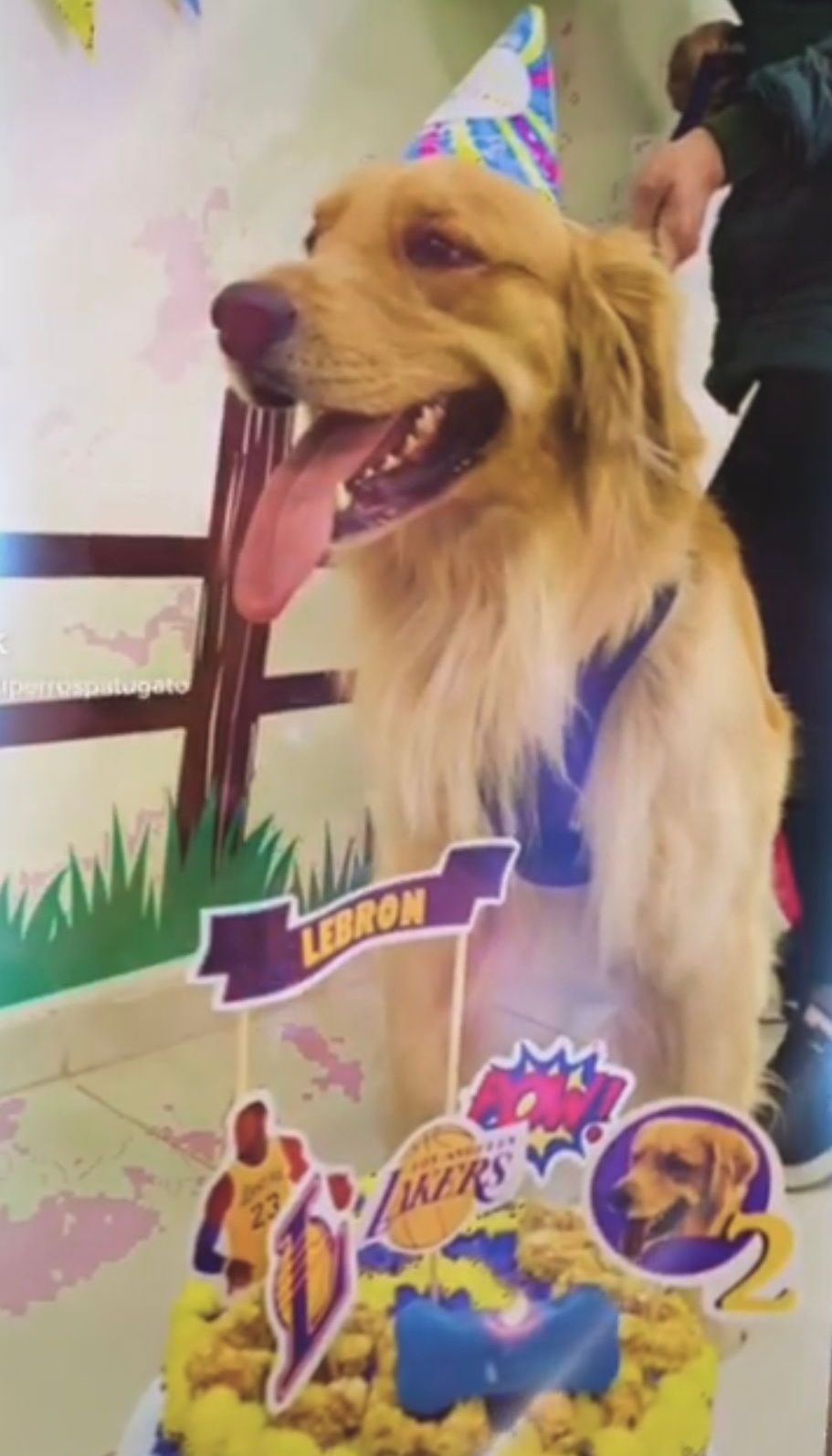 CUMPLEAÑOS
