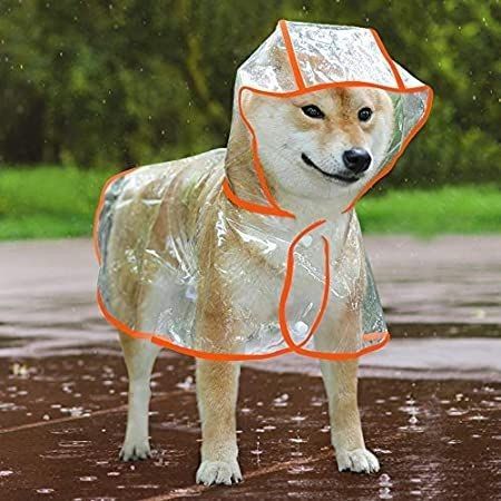Perrito