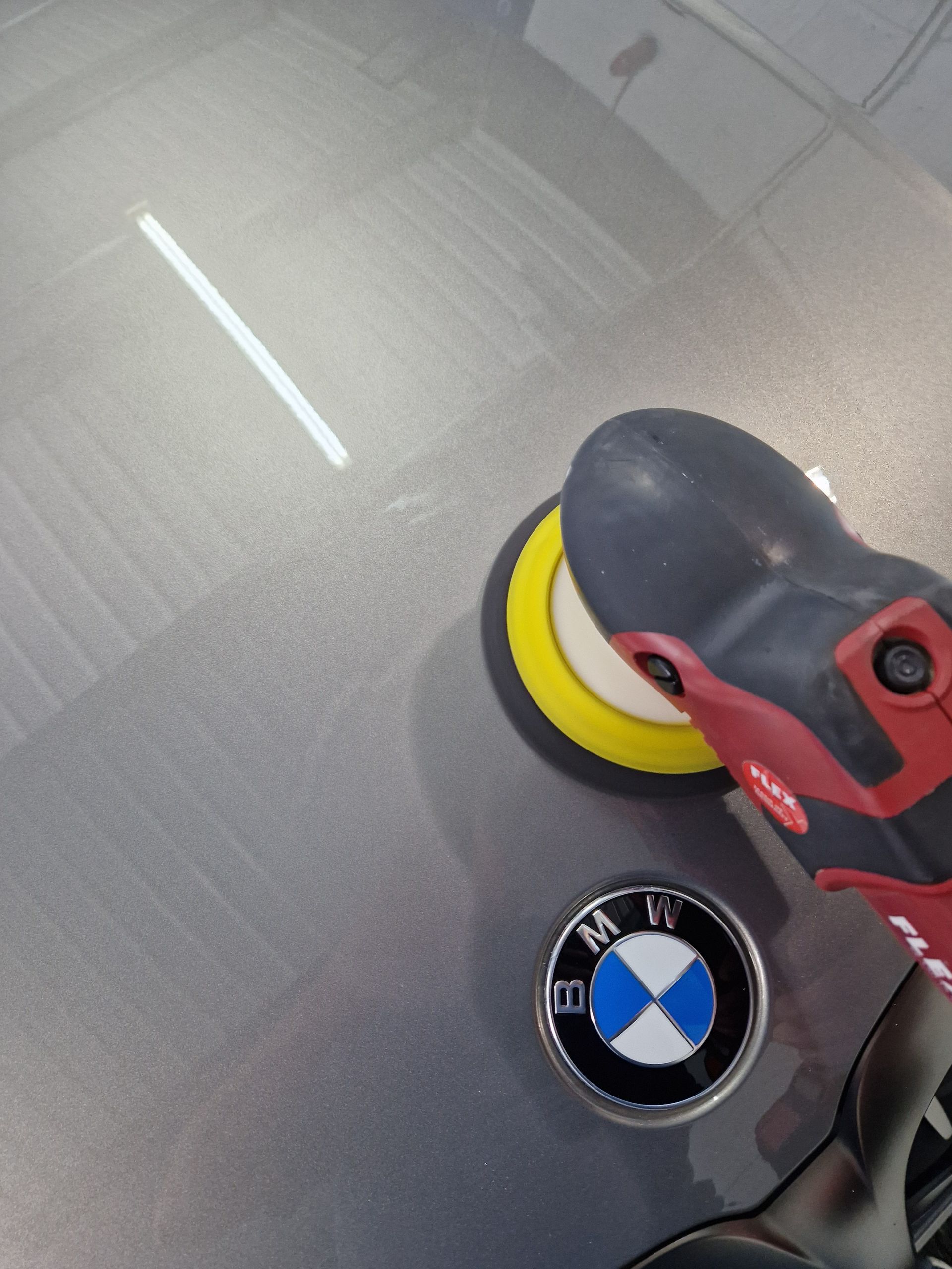 A bmw logo is on the hood of a car
