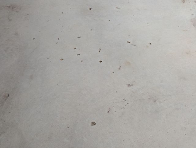 Concrete front porch surface preparation in Pelzer, SC