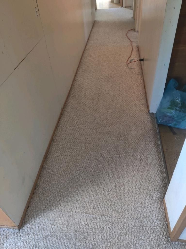 Narrow hallway with beige carpet and off-white walls. Doorways and a blue trash bag are visible.