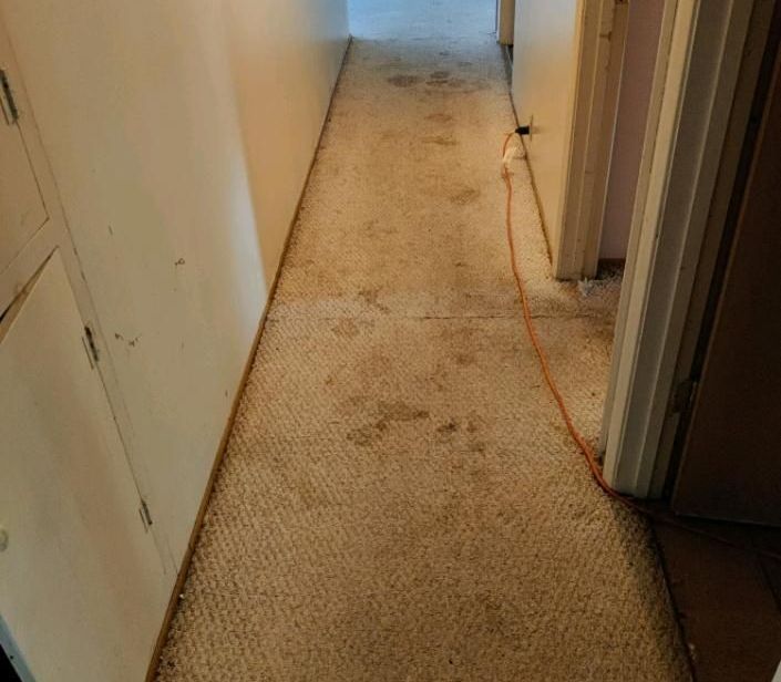 Narrow hallway with dirty, stained beige carpet and white walls.