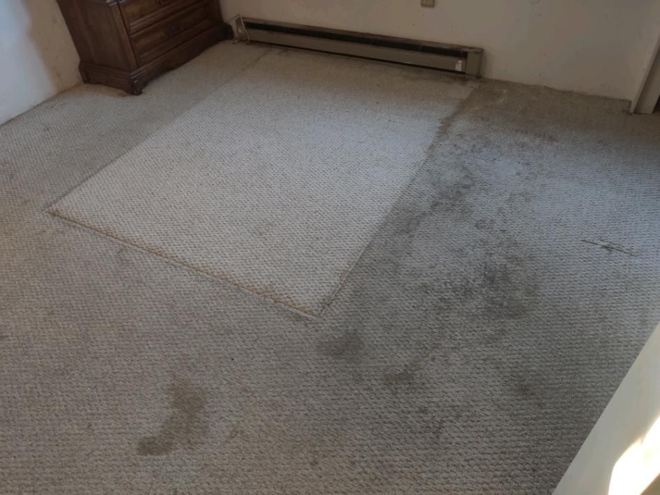 Tan carpeted room with a rectangular area of cleaner carpet. Several dark stains are visible.