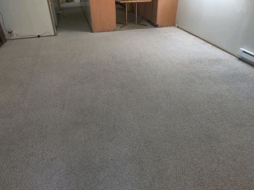 Room with light gray carpet, beige walls, and a glimpse of another room.