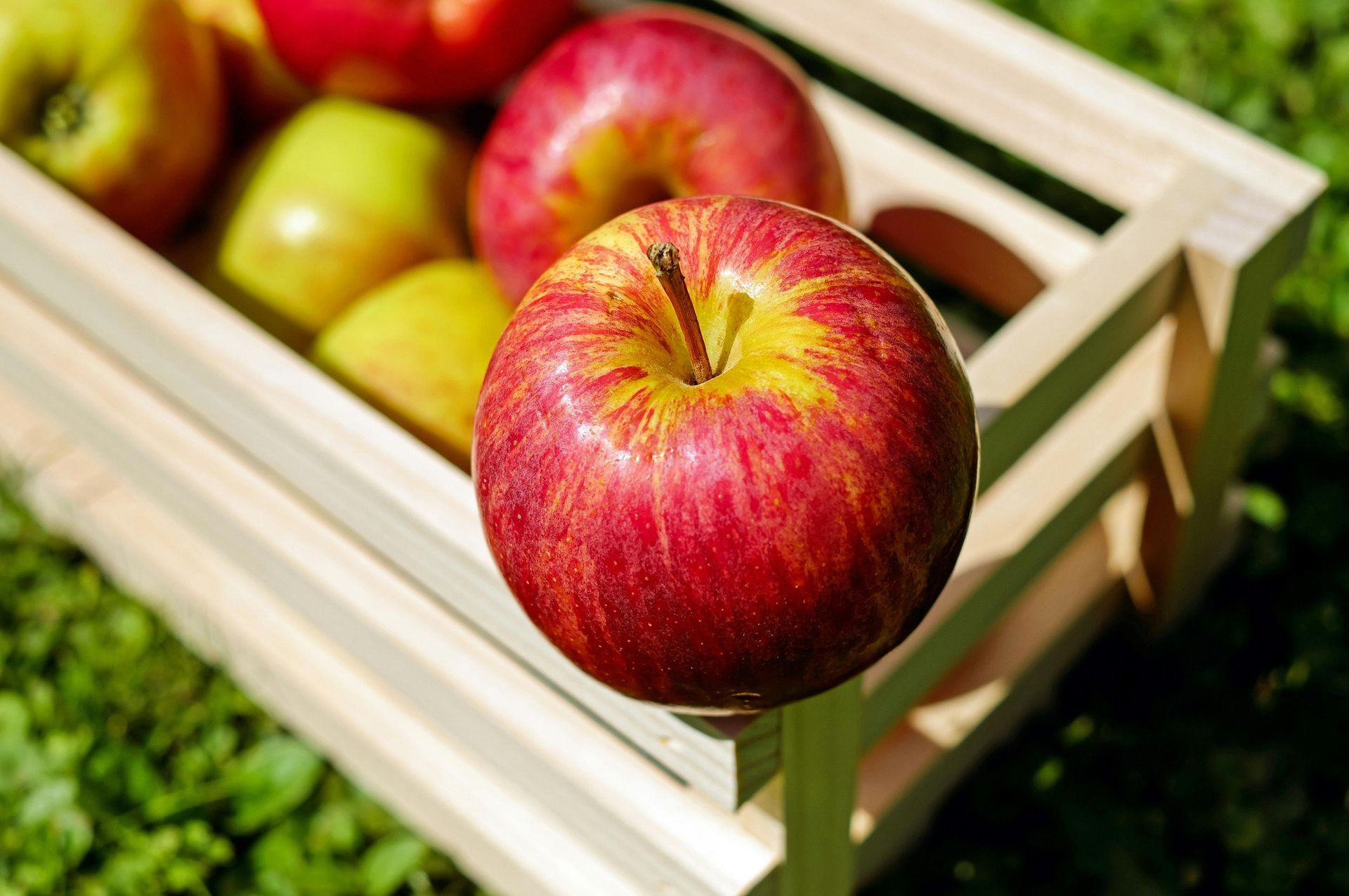 Apples