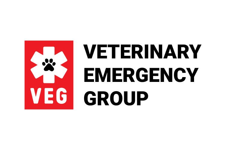 Veterinary Emergency Group