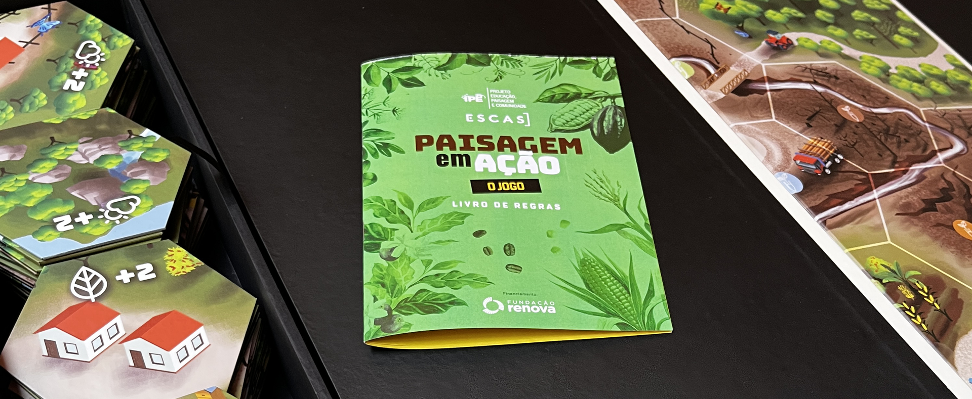 Case IPÊ