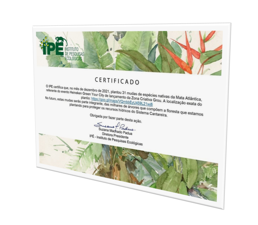 Certificado IPÊ