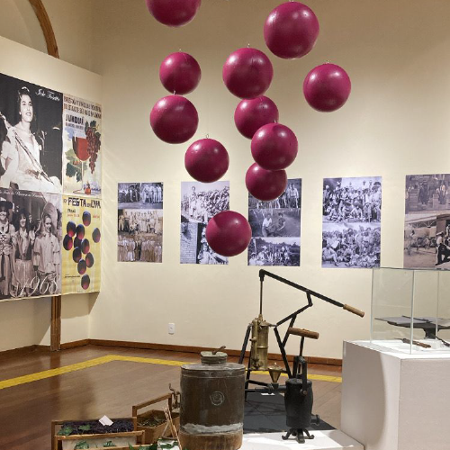 EXPOSIÇÃO UVA NIÁGARA