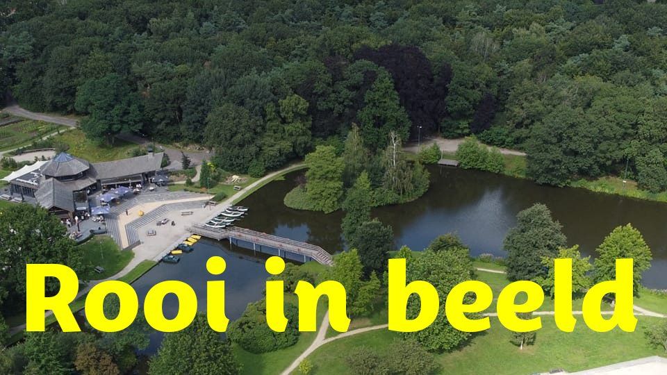 Rooi in beeld