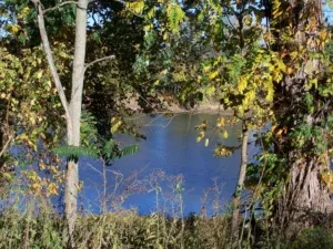 River view framed by trees with autumn foliage; blue water and sky.