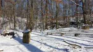 Snowy forest scene with benches, a stone structure, and bare trees under a sunny sky.