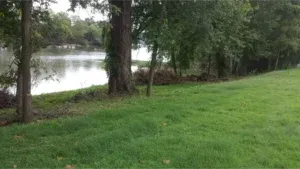 Lush green grass slopes down to a lake, bordered by trees. Overcast day.