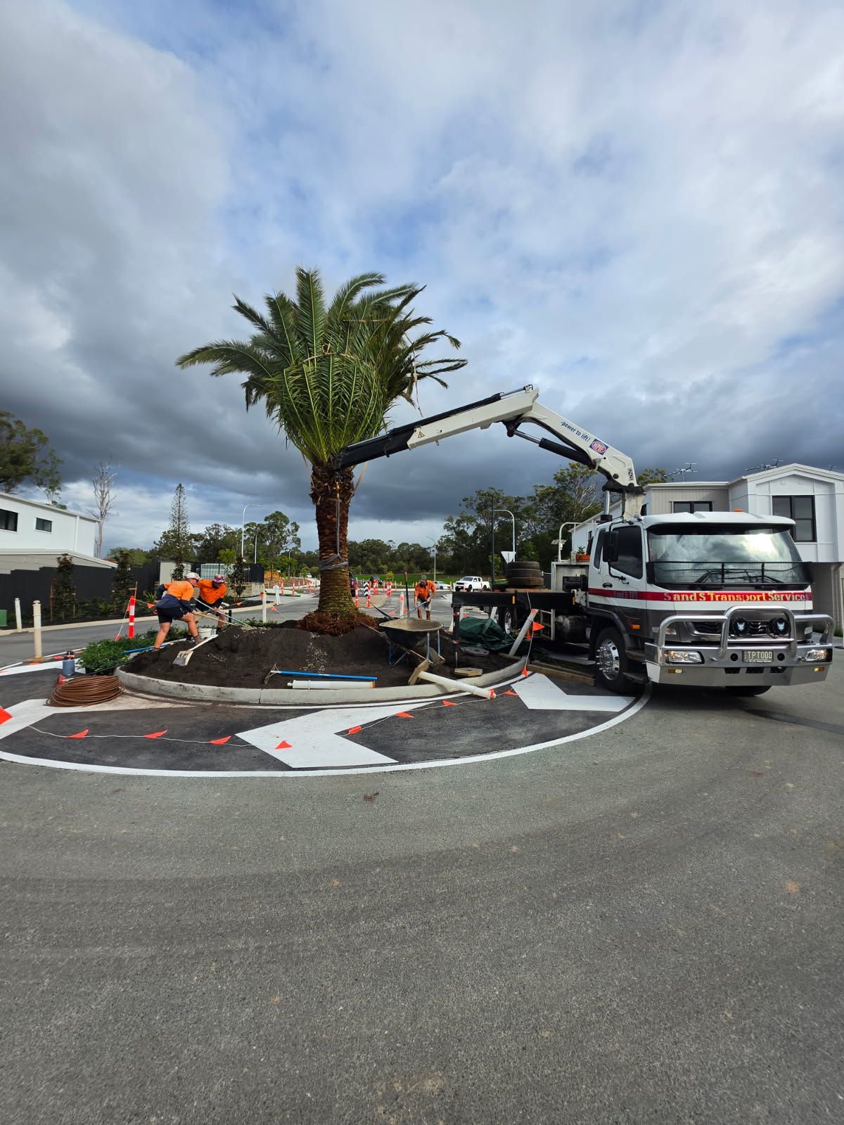 Tree lifting and removal assistance