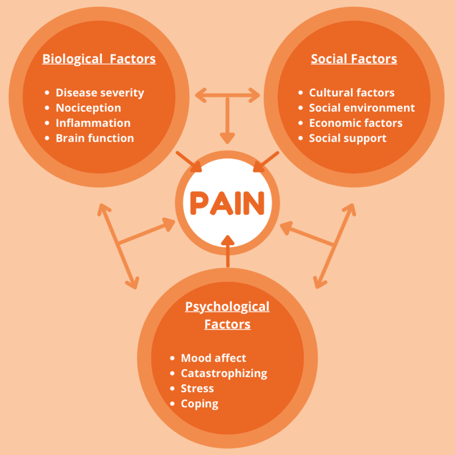 Orange pain diagram linking biological, social, and psychological factors around “PAIN”