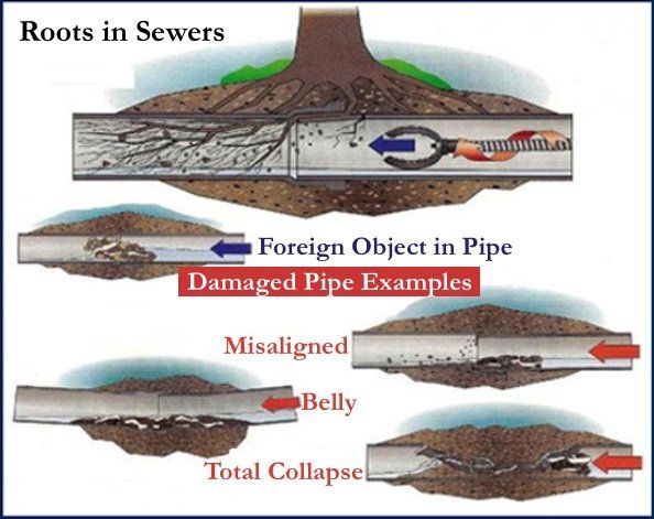 Septic Cleaning and Sewage Removal — Seguin, TX — A1 Tri-County Plumbing Septic Cleaning and Sewage Removal — Seguin, TX — A1 Tri-County Plumbing