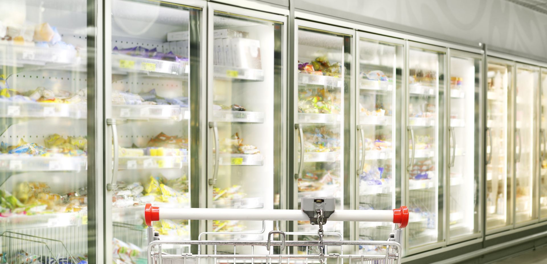Rows of refrigerated shelves in a bright grocery store, with shopping carts in front