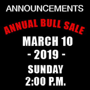 Announcement for annual bull sale, March 10, 2019, Sunday 2:00 p.m., white and red text on black background