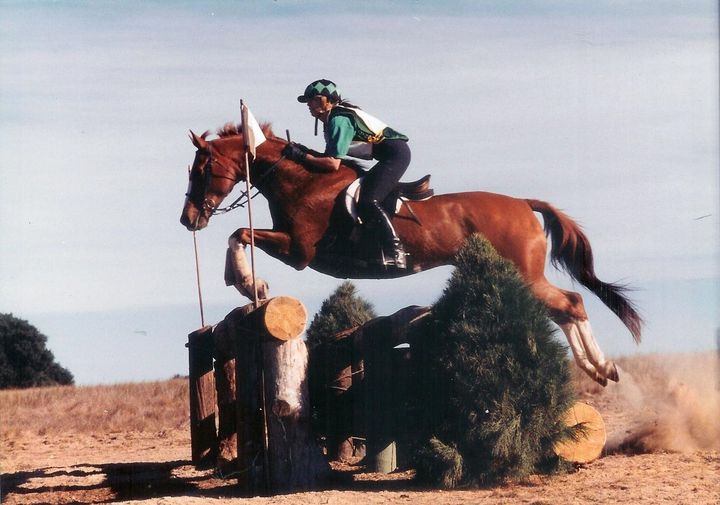 A person riding a horse jumping over a log