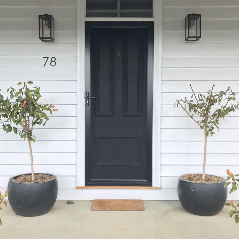 Security screen door