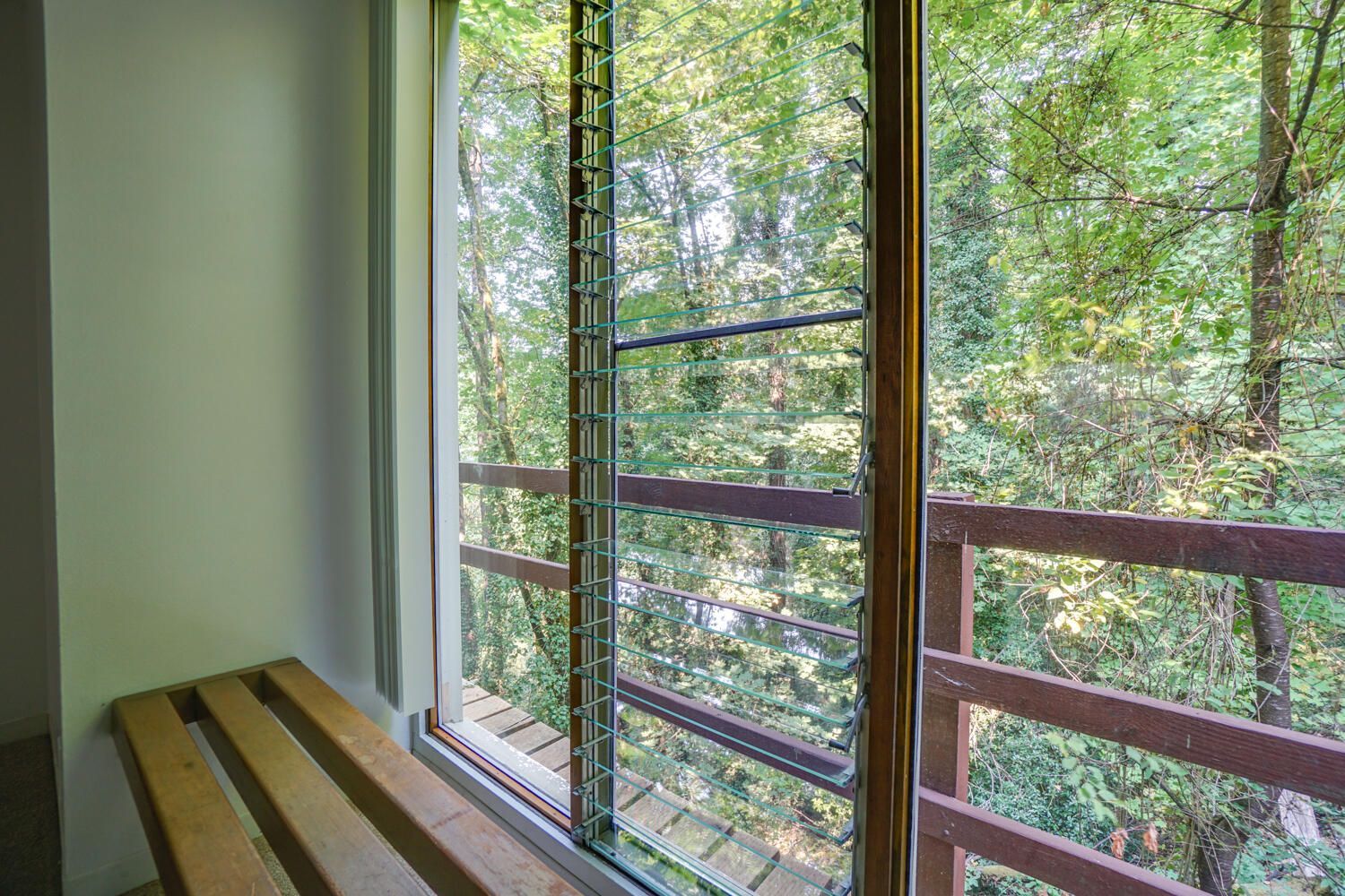 tree house