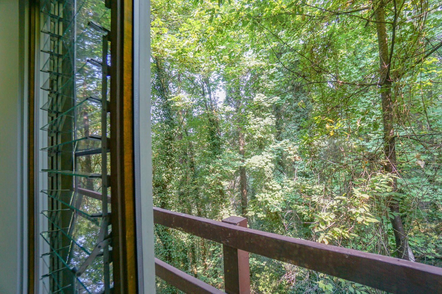 tree house