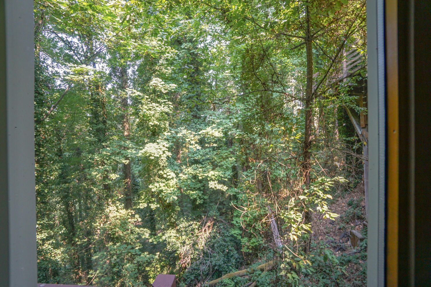 tree house