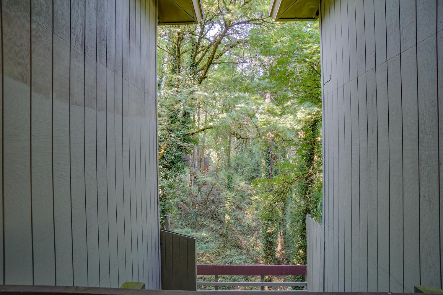 tree house