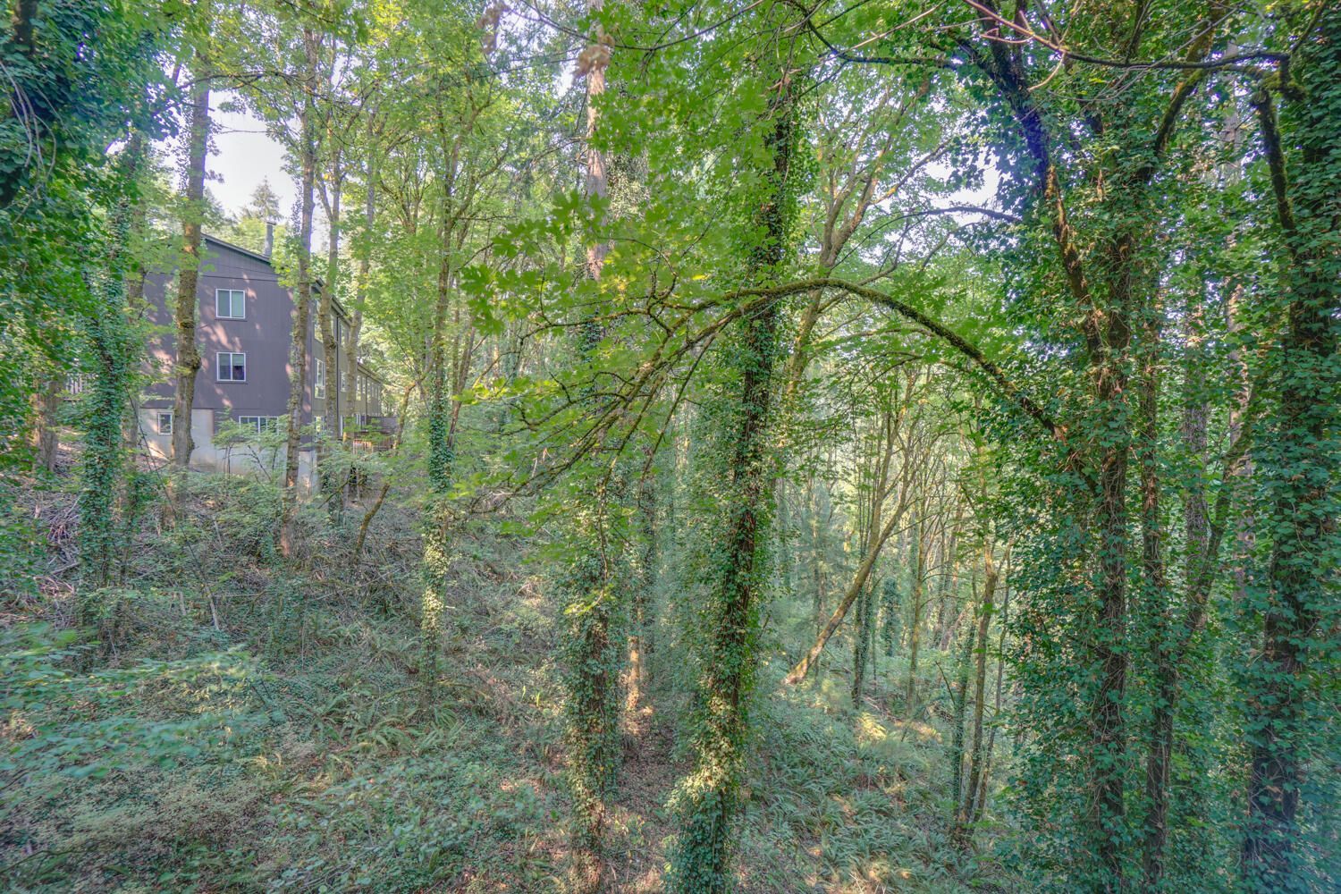 tree house