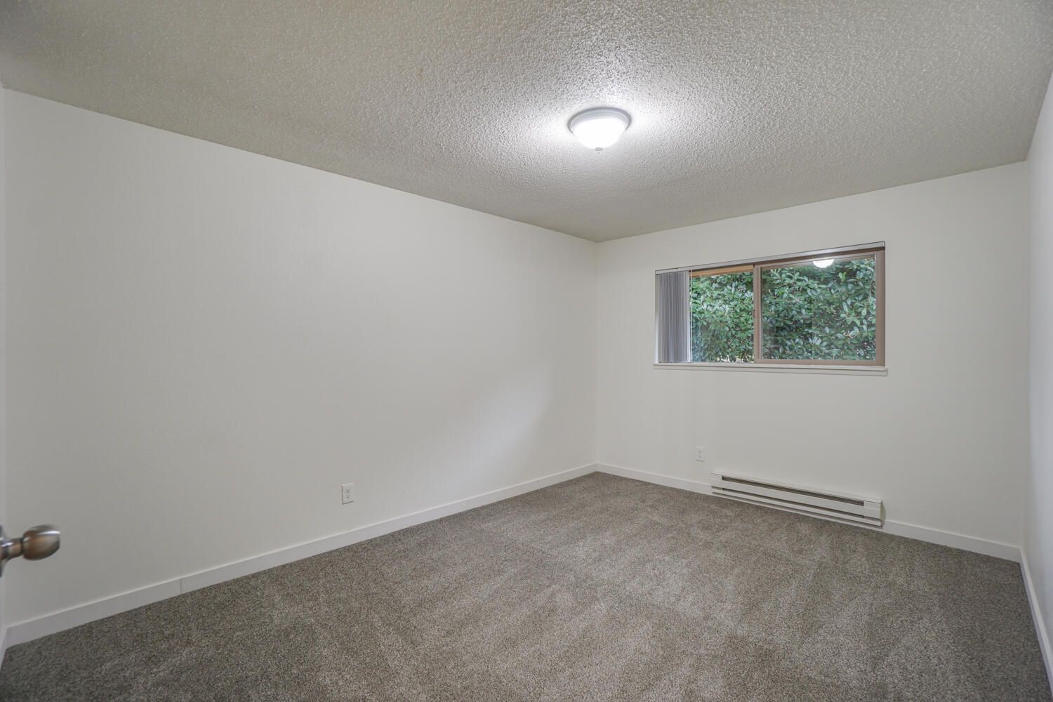 An empty bedroom with a window and a carpeted floor.
