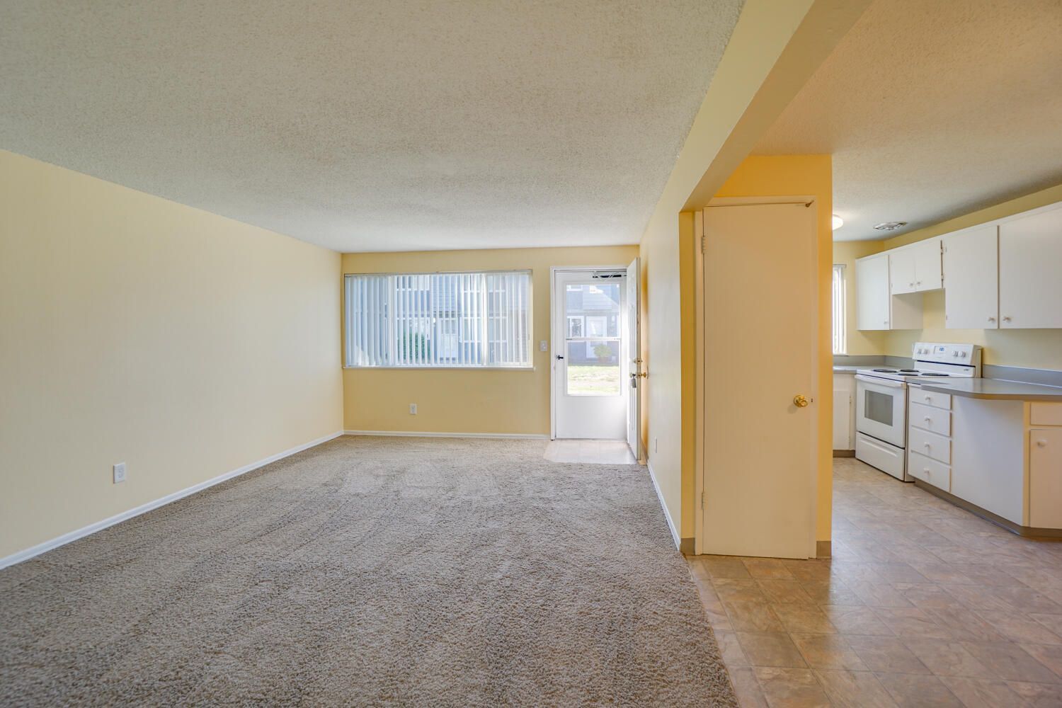 An empty living room with a carpeted floor and a kitchen in the background.
