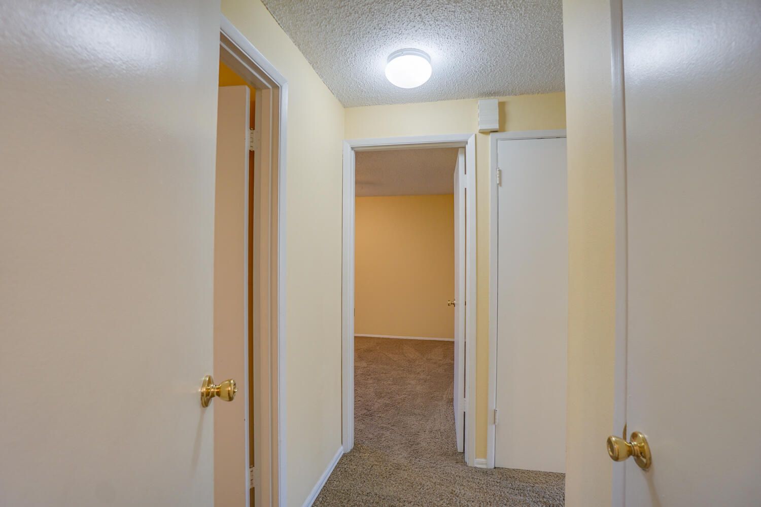 A hallway in a house with yellow walls and a carpeted floor.